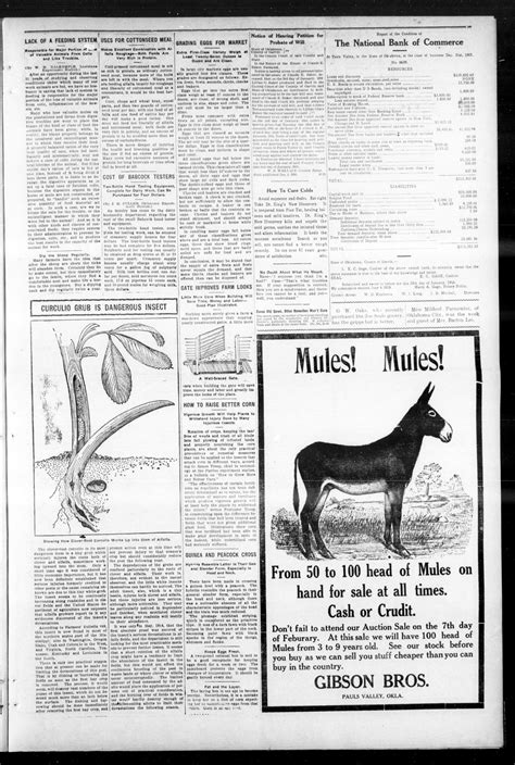 Pauls Valley Democrat Pauls Valley Okla Vol 12 No 44 Ed 1