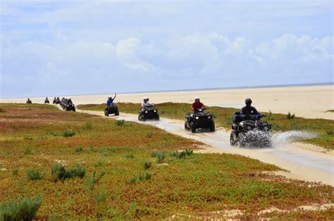 Boa Vista Aventure En Quad Dans Le D Sert De Viana Getyourguide