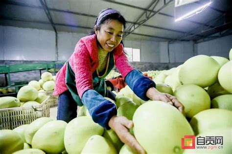 【走向我们的小康生活】家门口就业 挣钱顾家两不误澎湃号·政务澎湃新闻 The Paper