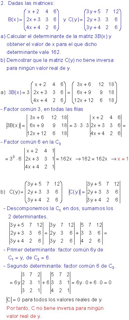 Tambi N Perfecto Aplastar Ejercicios Matrices Y Determinantes