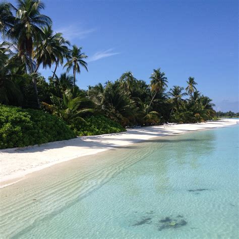 Meeru Island Beach, Maldives : r/beach