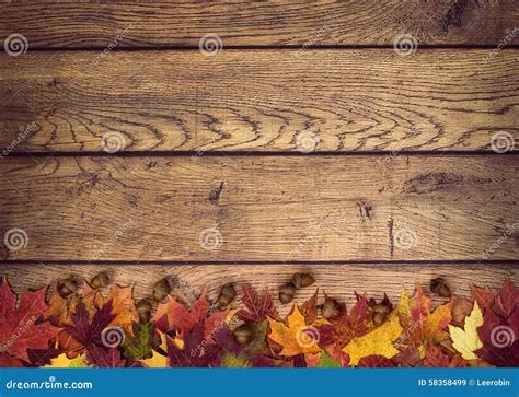 Autumn Leaves and Acorns on Rustic Wooden Background Stock Image ...