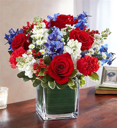 Healing Tears Red White Blue 1800Flowers 148689