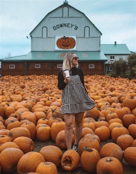 Pumpkin Patch Aesthetic Pumpkin Patch Photoshoot Pumpkin Patch