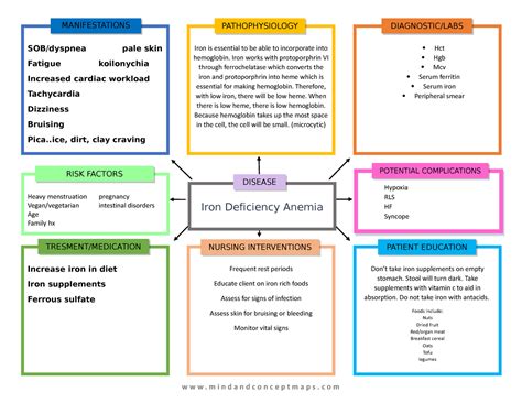 Iron Deficiency Anemia Concept Map Heavy Menstruation Pregnancy Vegan