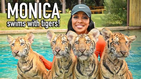 Monica Swims With Tigers Myrtle Beach Safari Youtube