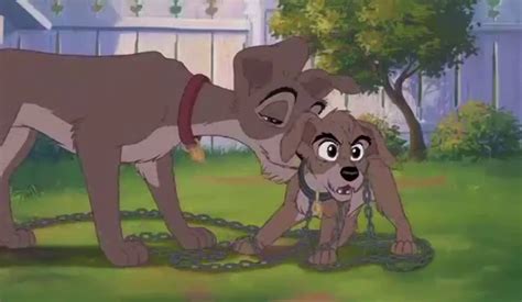 Disneys Lady AndThe Tramp 0II Scamps Adventure 2001 An Part