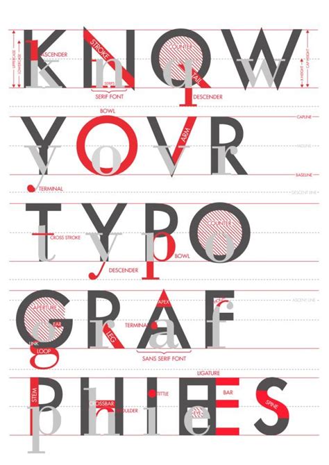 Know Typographies” Poster Anatomy Letters Anatomy Of Typography