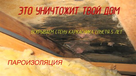 Пароизоляция. Наглядный эксперимент к чему может привести эта ошибка ...
