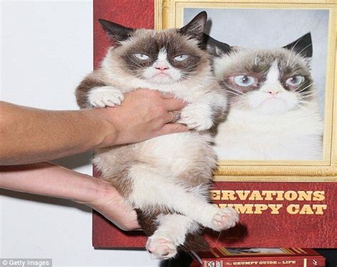 Grumpy Cat Lives Up To Her Name At Her Own Book Launch Grumpy Cat