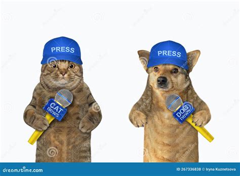 Gatos Y Perros Son Periodistas Foto De Archivo Imagen De Noticias