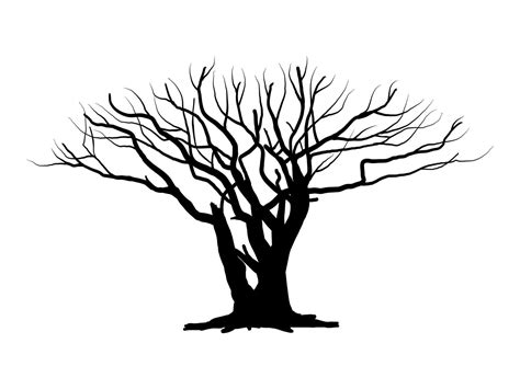 Black Branch Tree Or Naked Trees Silhouettes Hand Drawn Isolated Illustrations Vector