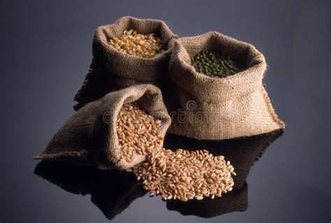 Jute Bags with Various Seeds Stock Photo - Image of flour, kernels: 136266064