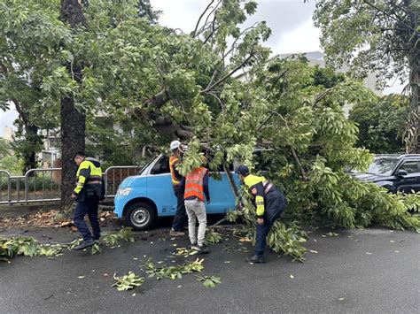 颱風凱米來襲 台中后里510戶停電、樹倒塌壓車 地方 中央社 Cna