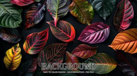 Colorful Tropical Leaves On Black Background Premium AI Generated PSD