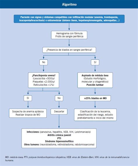 Algoritmo de diagnóstico de leucemia en pediatría de Atención Primaria