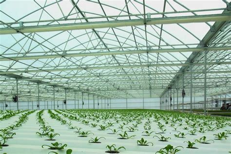 Go Green Agriculture Goes With Agra Tech Greenhouse Agra Tech Inc