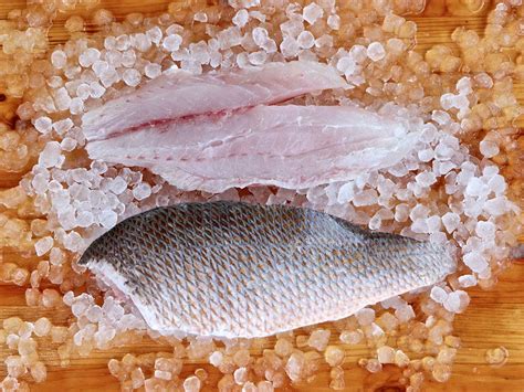 Mangrove Snapper Fillet (PER LB) – Keys Fresh Seafood