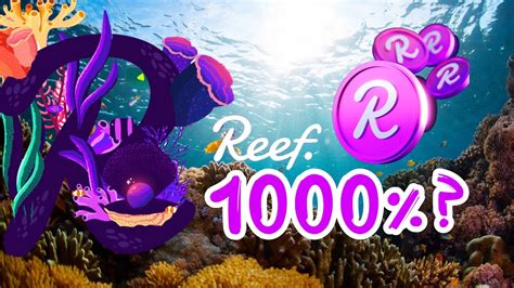 Reef Finance Reef