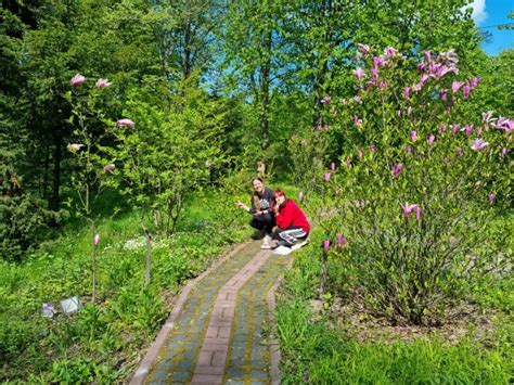 Студенти спеціальності «Садово-паркове господарство» здобувають ...