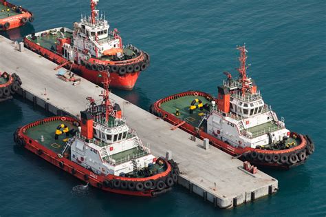 Appearance Of The Marine Creature NYT: The Oceans Are Screaming For Help. - Fluxfeed