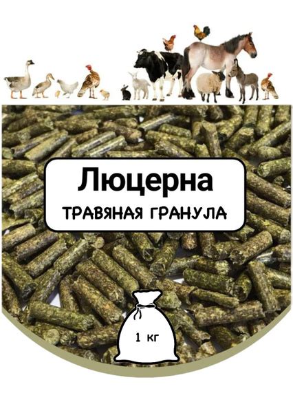 1 кг Люцерна - травяная гранула - ЭКО Продукт - купить с доставкой по ...