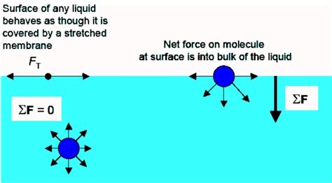 Exploring the Fascinating World of Surface Tension in Physics | Physics ...