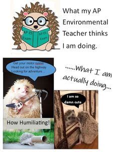 12 AP Environmental Science Memes ideas in 2025 | ap environmental ...