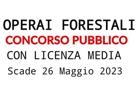 È uscito il Bando per OPERAI FORESTALI con LICENZA MEDIA ecco la