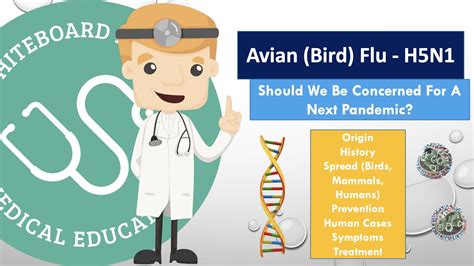 Bird Flu (Avian) H5N1 - Should We Be Concerned - Full Review (Origin ...