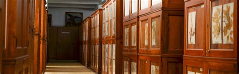 Herbarul Universit Ii Babe Bolyai Gradina Botanica