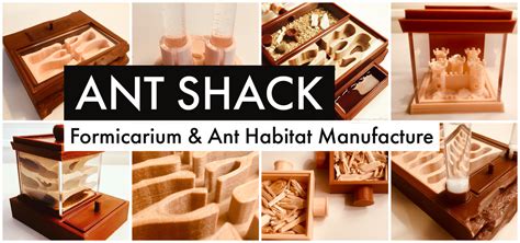 ANT SHACK - Formicarium and Ant Farm Kit Shop | Complete Ant Farm Kits