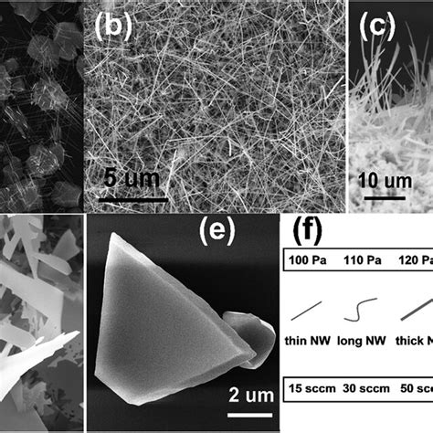 Ae SEM Images Of The Cd3As2 Nanostructures Grown Under 120 Pa At 15