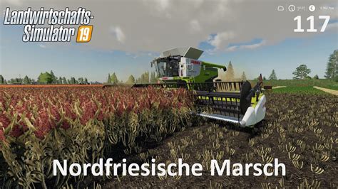 Ls Nordfriesische Marsch Hirse Ernten Und Abfahren