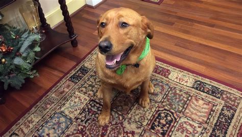 New ecological burial zones planned for trinity memorial gardens 33