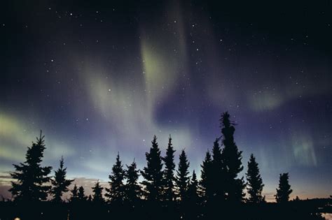 Aurora Borealis In Yellowknife Canada Stock Photo - Download Image Now ...