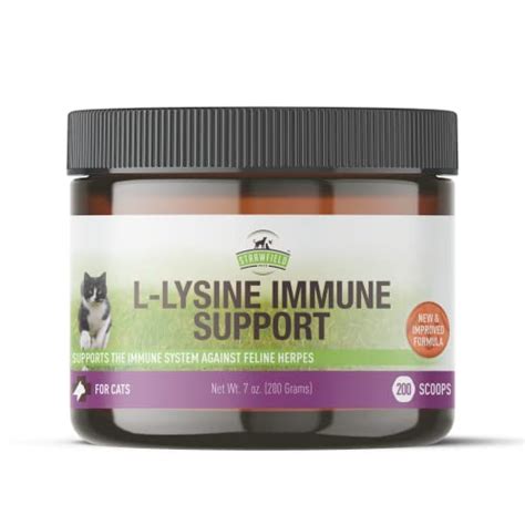 Best L Lysine For Cats In 2024