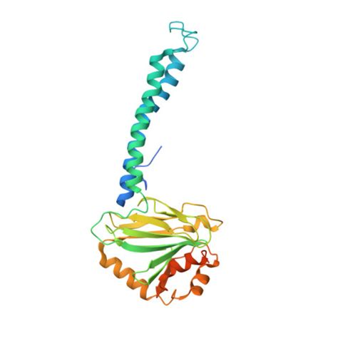 Rcsb Pdb 7n9z E Coli Cytochrome Bo3 In Msp Nanodisc