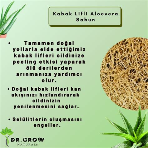 Dr Grow Naturals Kabak Lifli Aloe Vera Sabunu 100 gr Fiyatı