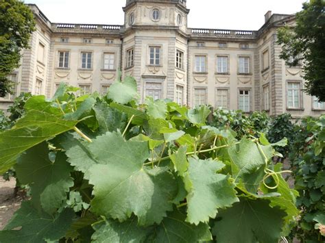 Ch Teau De Bo N Mus E Des Vignerons Du Forez Bo N Sur Lignon