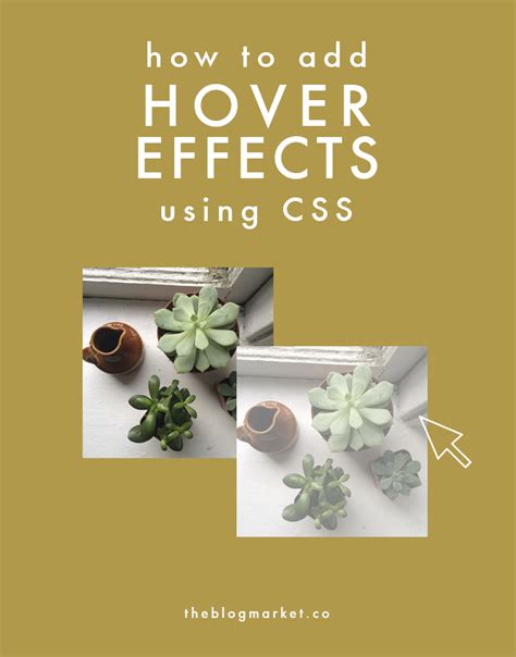 CSS Basics: Adding Hover Effects - The Blog Market