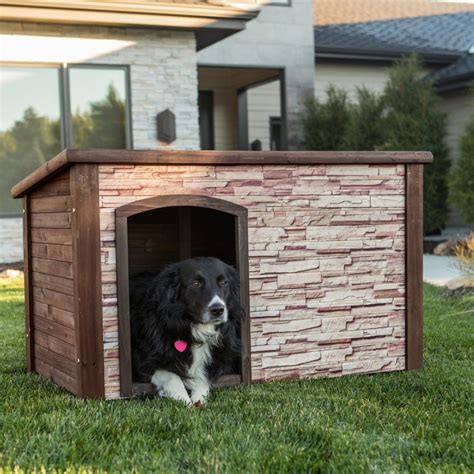 34 Doggone Good Backyard Dog House Ideas