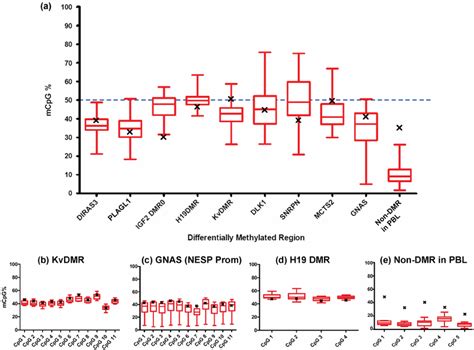 Quantification Of DNA Methylation At Differentially Methylated Regions