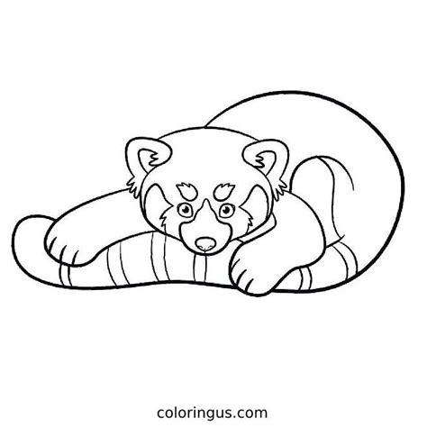 Combo Panda Coloring Sheets Coloring Pages