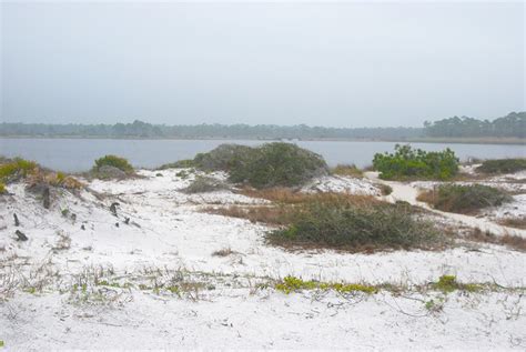 Grayton Beach State Park | Florida Hikes!