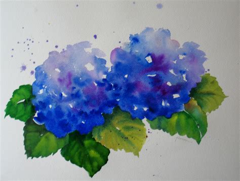 Nels Everyday Painting Hydrangea Watercolors Sold