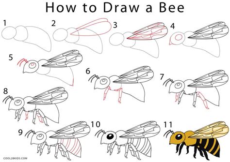 How to Draw a Bee (Step by Step Pictures) | Cool2bKids