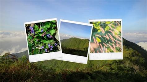 Jasa Fotografi Pendakian Gunung Bismo Via Silandak