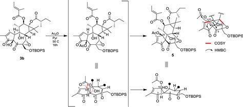 Novel Skeletal Rearrangements Of The Tigliane Diterpenoid Core