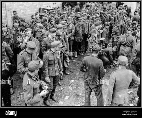 Nazi German Prisoners Of War From The Jager Regiment 229 Of The 101st